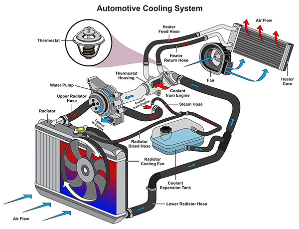 How To Maintain The Cooling & Other Connected Systems